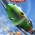 Disney Shoots for the Skies with New PLANES Trailer